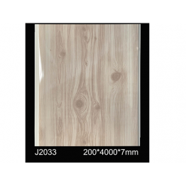 PLAFOND PVC 200X7X4000MM 10PCS/PQTS  REF:J2033 NET