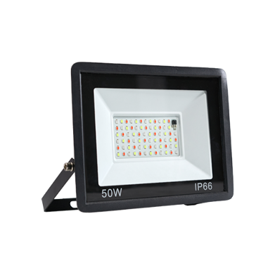 PROJECTEUR 50W IP66 RGB -AVEC TELECOMMANDE REF:H-021