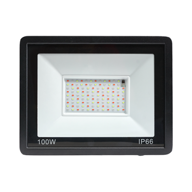 PROJECTEUR 100W IP66 RGB -AVEC TELECOMMANDE REF:H-022