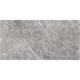 CARREAUX 800X800  INJECT MODEL-2pces/carton"INDE" REF: LIZARD GREY