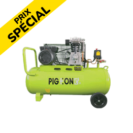 COMPRESSEUR A AIR 100L "PIGEON" 3CV - 405L/min Ref: ZYDH-30100