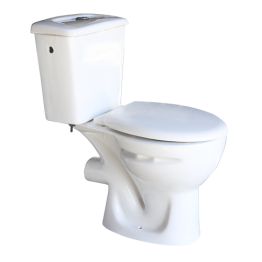 WC VERTICAL DOUBLE POUSSOIR BLANC S TRAP "INDE" 600*400*755MM NET