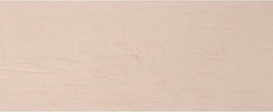 CARREAUX MURAL RECTIFIÉ MAT 300X900X8.7MM "ESPAGNE" NATIVE NUT