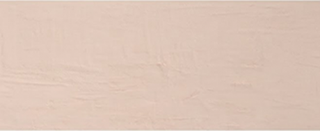 CARREAUX MURAL RECTIFIÉ MAT 300X900X8.7MM "ESPAGNE" NATIVE NUT