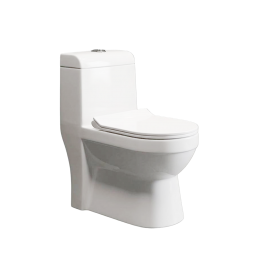 WC MONOBLOC EN CÉRAMIQUE P-TRAP 225MM "INDE" MODEL_1009