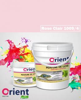 PEINTURE A L'EAU INT/EXT " ORIENT PLUS" 4KG ROSE CLAIR REF:1009/4