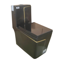 WC HORIZONTAL DOUBLE POUSSOIR NOIR P TRAP 690*360*780MM REF:5011B