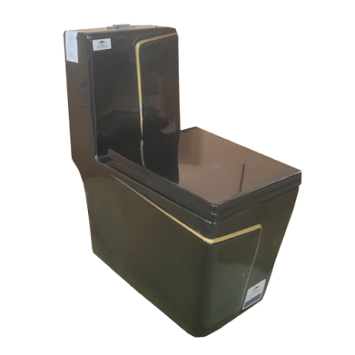 WC HORIZONTAL DOUBLE POUSSOIR NOIR P TRAP 690*360*780MM REF:5011B