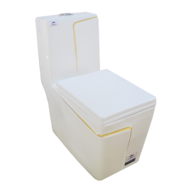 WC HORIZONTAL DOUBLE POUSSOIR BLANC P TRAP 690*360*780MM REF:5011W
