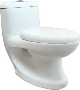 WC MONOBLOC P-TRAP 660X350X680MM "INDE" FOGO