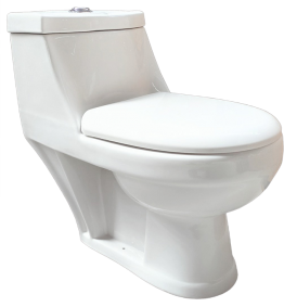 WC MONOBLOC P-TRAP 700X350X670MM "INDE" FILIPPO