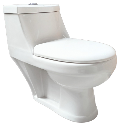 WC MONOBLOC P-TRAP 700X350X670MM "INDE" FILIPPO