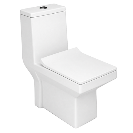 WC MONOBLOC P-TRAP 225MM MODEL_850